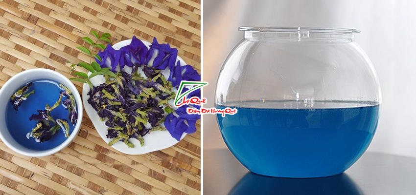 Tạo màu xanh dương cho thạch rau câu